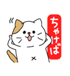 とっても見やすい接続詞ねこ（個別スタンプ：27）