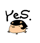 もちもちっとしたアニマルズ。（個別スタンプ：1）