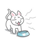 White cat (Eng.version of kai mook)（個別スタンプ：5）