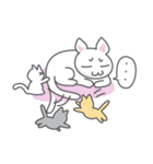 White cat (Eng.version of kai mook)（個別スタンプ：11）