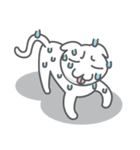 White cat (Eng.version of kai mook)（個別スタンプ：20）