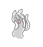 White cat (Eng.version of kai mook)（個別スタンプ：35）