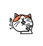 カイくんは猫（個別スタンプ：13）