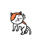 カイくんは猫（個別スタンプ：16）