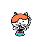 カイくんは猫（個別スタンプ：17）