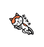 カイくんは猫（個別スタンプ：26）