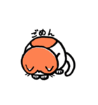 カイくんは猫（個別スタンプ：31）