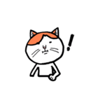 カイくんは猫（個別スタンプ：33）