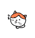 カイくんは猫（個別スタンプ：37）