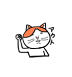 カイくんは猫（個別スタンプ：40）