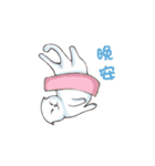 Scottish Fold-White Rabbit（個別スタンプ：3）
