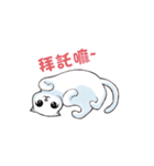 Scottish Fold-White Rabbit（個別スタンプ：7）