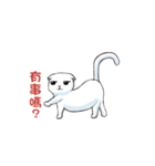 Scottish Fold-White Rabbit（個別スタンプ：9）
