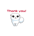 Scottish Fold-White Rabbit（個別スタンプ：10）