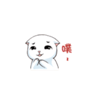 Scottish Fold-White Rabbit（個別スタンプ：14）