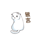 Scottish Fold-White Rabbit（個別スタンプ：17）