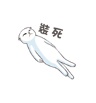 Scottish Fold-White Rabbit（個別スタンプ：19）