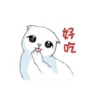 Scottish Fold-White Rabbit（個別スタンプ：21）