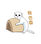 Scottish Fold-White Rabbit（個別スタンプ：24）