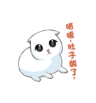 Scottish Fold-White Rabbit（個別スタンプ：25）
