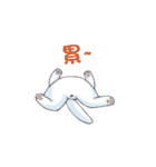 Scottish Fold-White Rabbit（個別スタンプ：27）