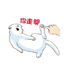 Scottish Fold-White Rabbit（個別スタンプ：28）