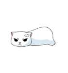 Scottish Fold-White Rabbit（個別スタンプ：30）