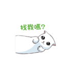 Scottish Fold-White Rabbit（個別スタンプ：31）