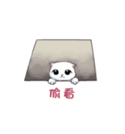 Scottish Fold-White Rabbit（個別スタンプ：34）
