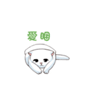 Scottish Fold-White Rabbit（個別スタンプ：35）