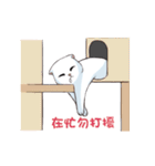 Scottish Fold-White Rabbit（個別スタンプ：36）