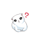 Scottish Fold-White Rabbit（個別スタンプ：37）