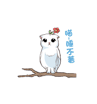 Scottish Fold-White Rabbit（個別スタンプ：38）
