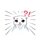 Scottish Fold-White Rabbit（個別スタンプ：39）
