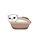 Scottish Fold-White Rabbit（個別スタンプ：40）