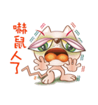 Cicada Cat（個別スタンプ：23）