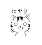 うちねこ（個別スタンプ：13）