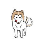 Huskies-Fendi（個別スタンプ：2）