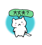 しゅふネコ（個別スタンプ：13）