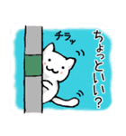 しゅふネコ（個別スタンプ：31）