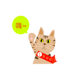 Pineapple cat 4（個別スタンプ：1）