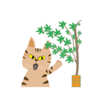 Pineapple cat 4（個別スタンプ：12）