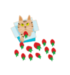 Pineapple cat 4（個別スタンプ：13）