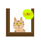 Pineapple cat 4（個別スタンプ：26）