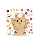 Pineapple cat 4（個別スタンプ：30）