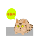 Pineapple cat 4（個別スタンプ：35）