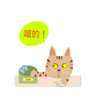 Pineapple cat 4（個別スタンプ：37）