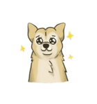Lulu（個別スタンプ：19）