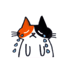 Cat's the NYACCHI（個別スタンプ：1）
