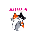 Cat's the NYACCHI（個別スタンプ：17）